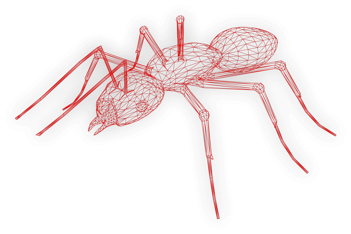 Ant-wireframe